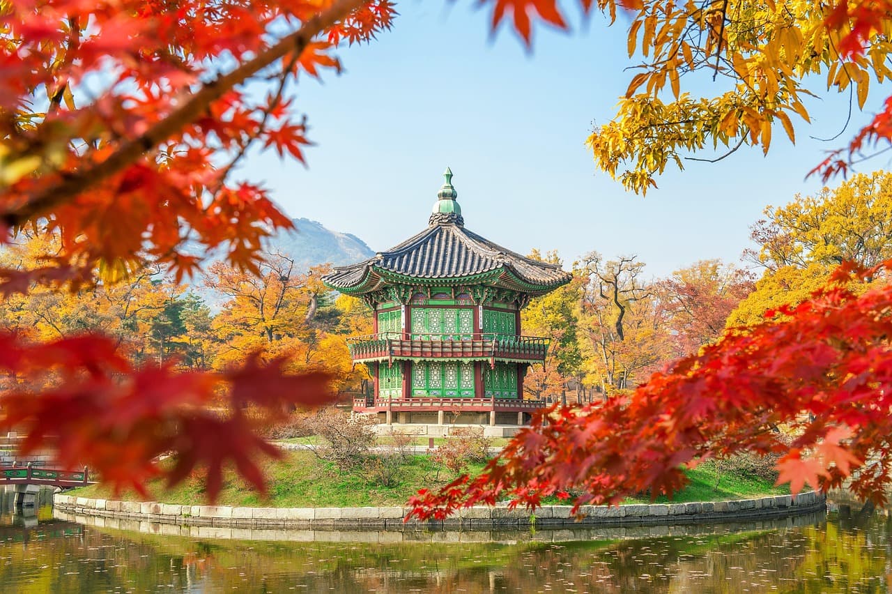 South Korea highlight
